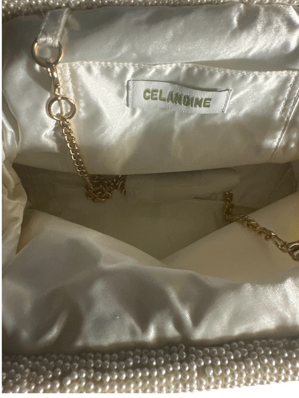 Celandine Anthropologie Beaded Pearl Fringe Clutch NWT - Picture 5 of 5